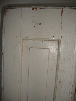 DSC01952