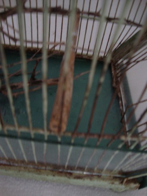 DSC02051